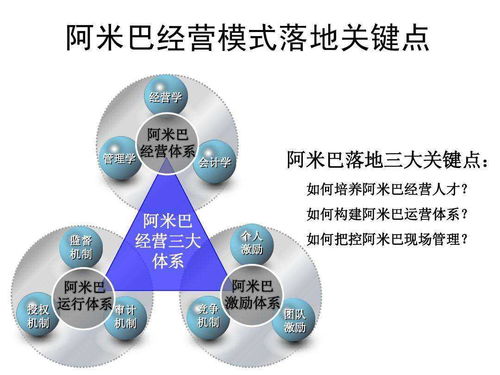 阿米巴經(jīng)營(yíng)模式 企業(yè)管理的分權(quán)賦能之道與適用性考量